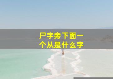 尸字旁下面一个从是什么字