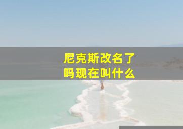 尼克斯改名了吗现在叫什么