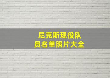 尼克斯现役队员名单照片大全