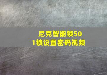 尼克智能锁501锁设置密码视频