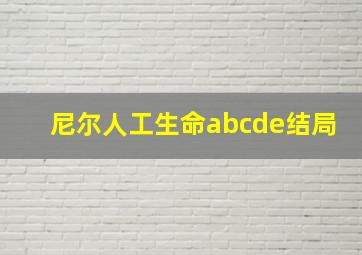 尼尔人工生命abcde结局