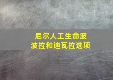 尼尔人工生命波波拉和迪瓦拉选项