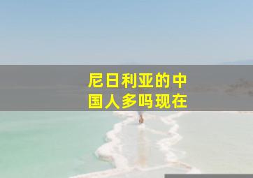 尼日利亚的中国人多吗现在