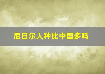 尼日尔人种比中国多吗