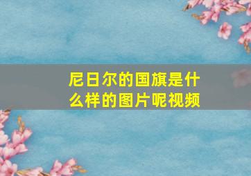 尼日尔的国旗是什么样的图片呢视频