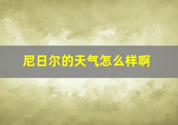 尼日尔的天气怎么样啊