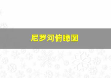 尼罗河俯瞰图