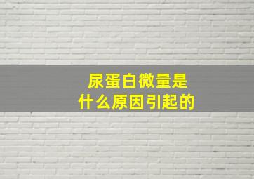 尿蛋白微量是什么原因引起的