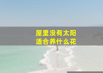 屋里没有太阳适合养什么花