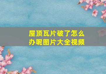 屋顶瓦片破了怎么办呢图片大全视频