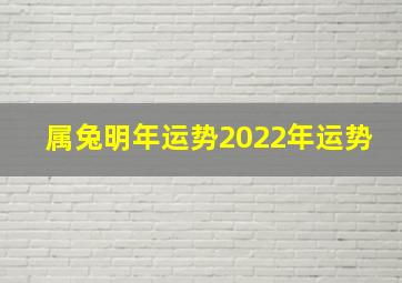 属兔明年运势2022年运势