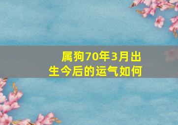 属狗70年3月出生今后的运气如何