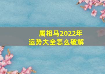 属相马2022年运势大全怎么破解