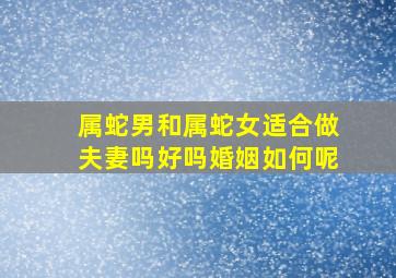 属蛇男和属蛇女适合做夫妻吗好吗婚姻如何呢