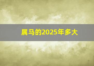 属马的2025年多大