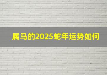 属马的2025蛇年运势如何