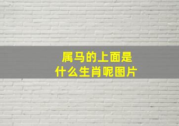 属马的上面是什么生肖呢图片