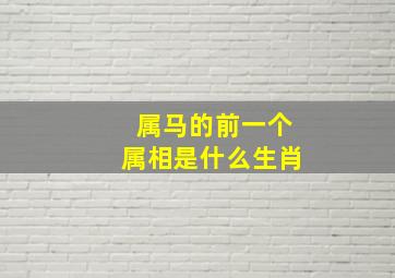 属马的前一个属相是什么生肖