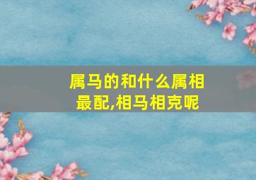 属马的和什么属相最配,相马相克呢