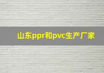 山东ppr和pvc生产厂家