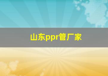 山东ppr管厂家