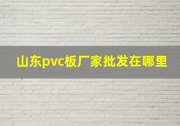 山东pvc板厂家批发在哪里