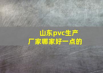 山东pvc生产厂家哪家好一点的