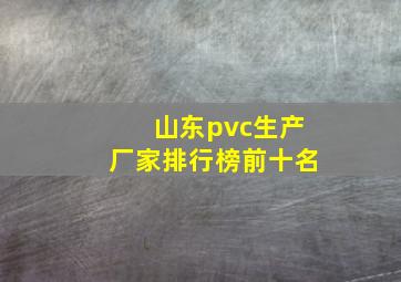 山东pvc生产厂家排行榜前十名