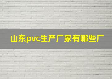 山东pvc生产厂家有哪些厂