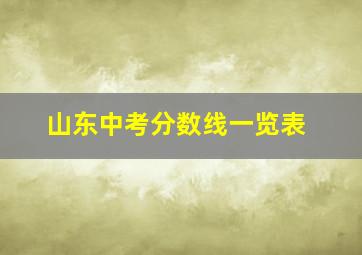 山东中考分数线一览表