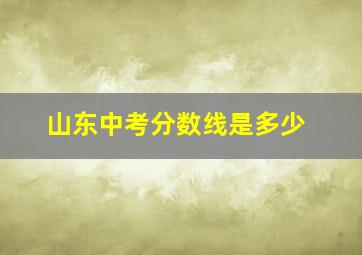 山东中考分数线是多少