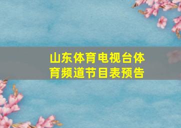 山东体育电视台体育频道节目表预告