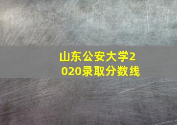 山东公安大学2020录取分数线