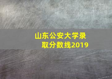 山东公安大学录取分数线2019