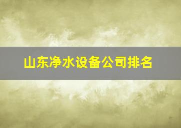 山东净水设备公司排名