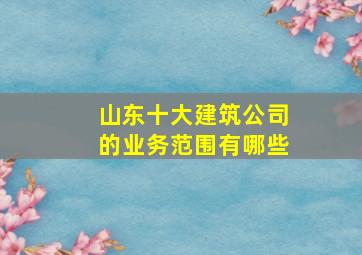 山东十大建筑公司的业务范围有哪些