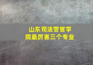 山东司法警官学院最厉害三个专业