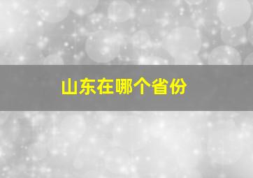 山东在哪个省份