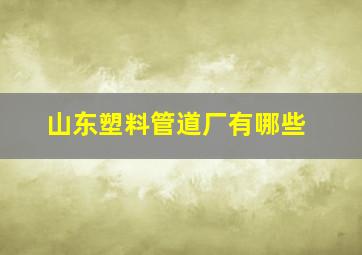 山东塑料管道厂有哪些