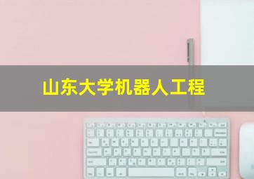 山东大学机器人工程