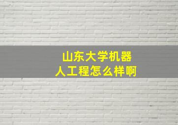 山东大学机器人工程怎么样啊