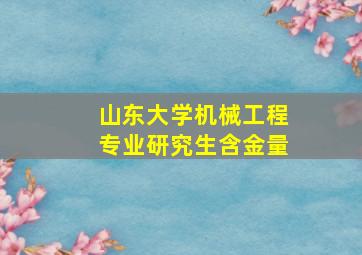 山东大学机械工程专业研究生含金量