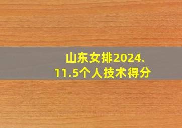 山东女排2024.11.5个人技术得分