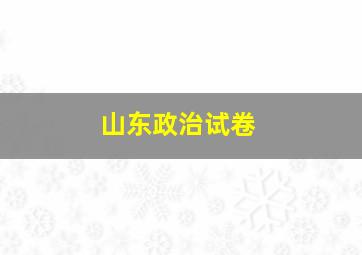 山东政治试卷