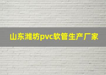 山东潍坊pvc软管生产厂家