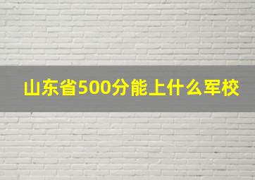 山东省500分能上什么军校