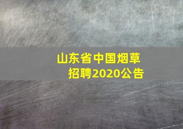 山东省中国烟草招聘2020公告