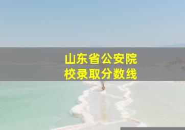 山东省公安院校录取分数线