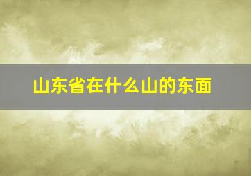 山东省在什么山的东面