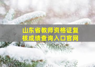 山东省教师资格证复核成绩查询入口官网